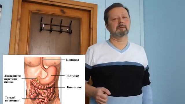 Как проходит процесс пищеварения. Органы брюшной полости. Андрей Найдек смотреть онлайн