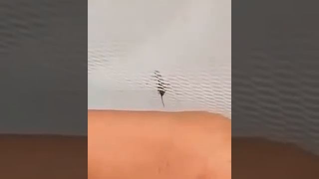 Секреты Профессионального Развития