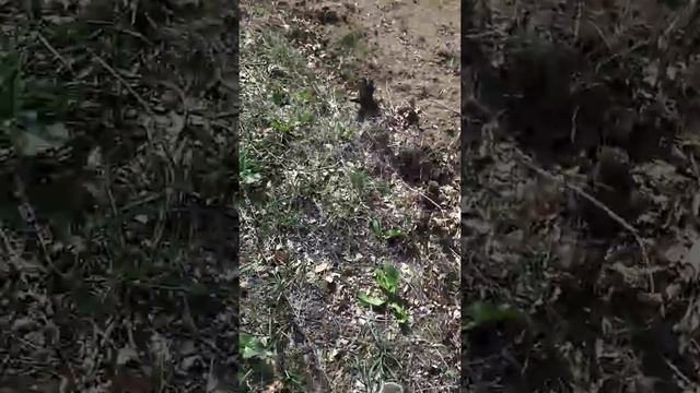 Отчет стройки гаража ч3.