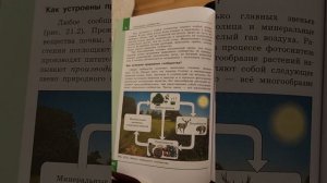 Биология 5 класс параграф 21 понятие о природном сообществе