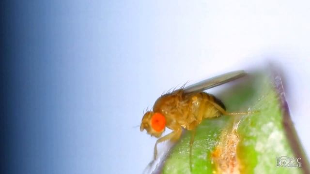 Строительные Шедевры