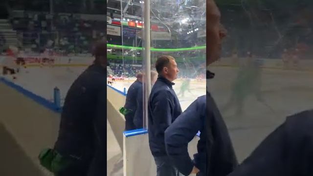 «Салават» – «Авангард». LIVE! смотреть онлайн