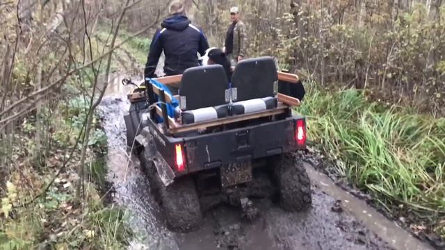 В болота Северо-Запада за клюквой смотреть онлайн