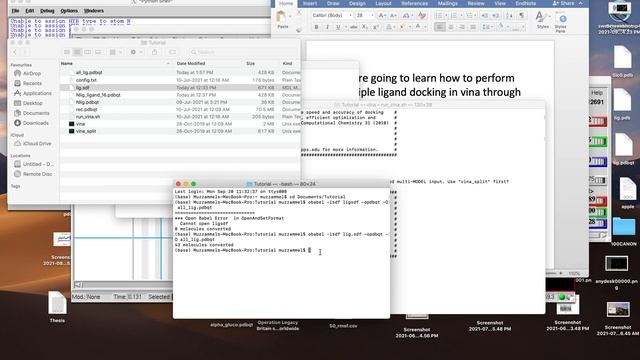 Multiple Ligand Docking by Autodock Vina through command line in UNIX/LINUX смотреть онлайн