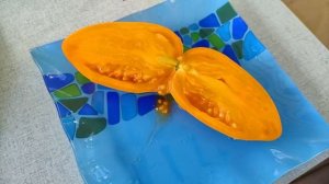 152. Оранжевый томат с насыщенным вкусом. ЛИСЕНОК.