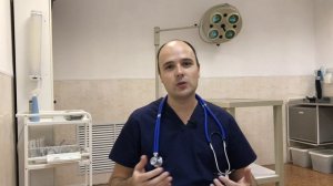 Почему у кошки выпадают и ломаются усы