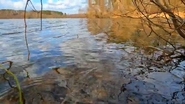 ВЯЧА водохранилище Минск погуляли апрель 2022 смотреть онлайн