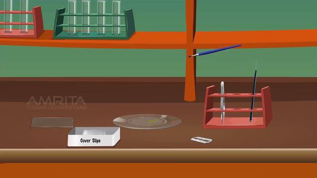 Characteristics Of Flowers - MeitY OLabs