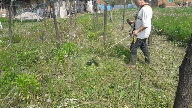 Husqvarna 128 r in livada! in orchard! im obstgarten! в саду! en el huerto! बाग में! dans le verger смотреть онлайн
