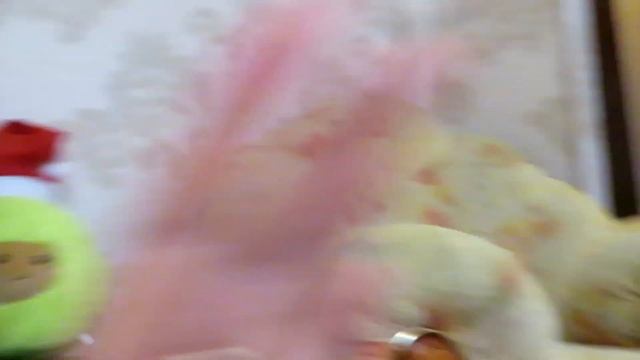 !ВЛОГ!Коллагеновые патчи/еще немного покупок к НГ/плюшевое авокадо/ жёлтая пузырьковая маска смотреть онлайн