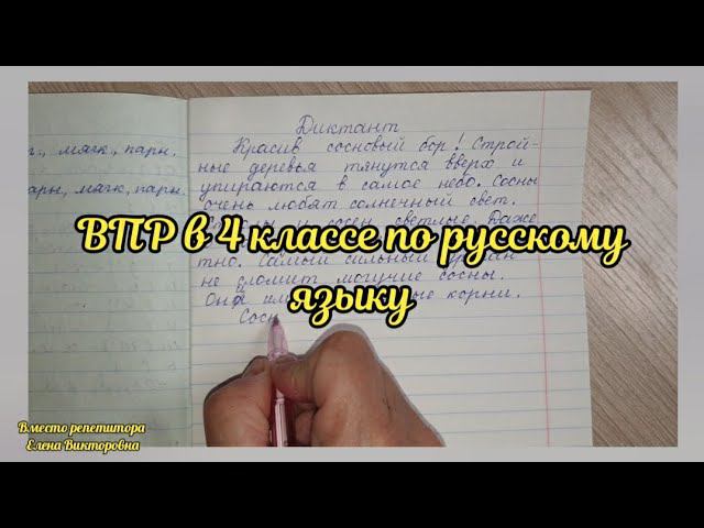 Диктант по ВПР в 4 классе в 2023 году смотреть онлайн