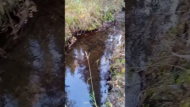 Север(охота, рыбалка, быт.) смотреть онлайн