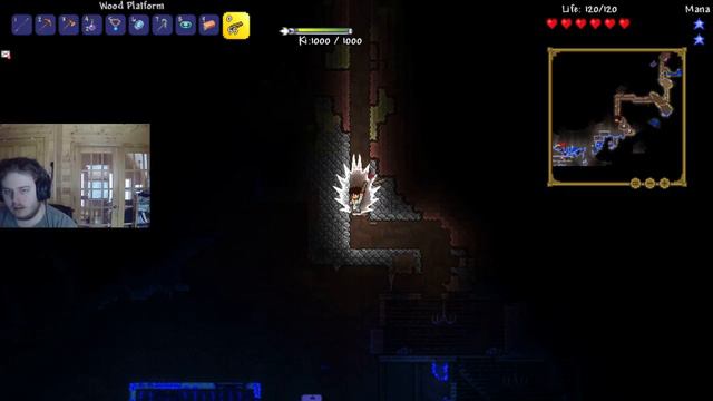 Ultra Modded Terraria Solo Stream #3 смотреть онлайн