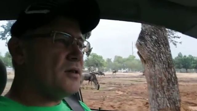 Сафари в Тель Авиве, видео 2 смотреть онлайн