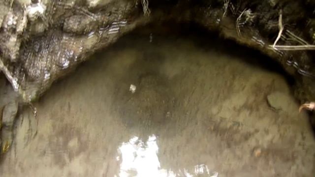 Алаколь (отдых на озере Алаколь Казахстан) смотреть онлайн