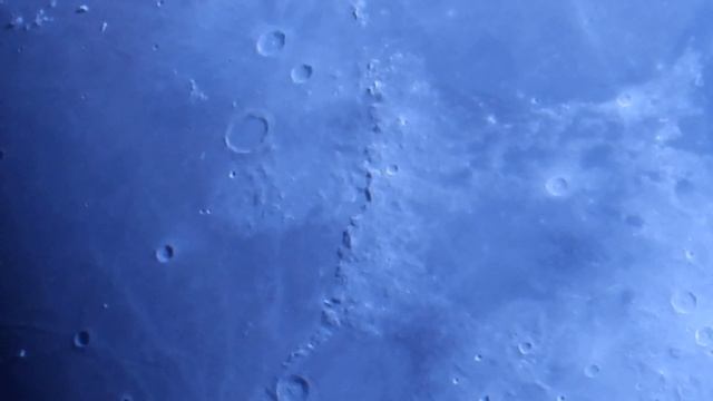 Nikon Coolpix P1000 I Spy With My Little Eye !!!