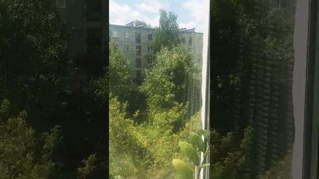 У нас в России очень сильный ветер смотреть онлайн