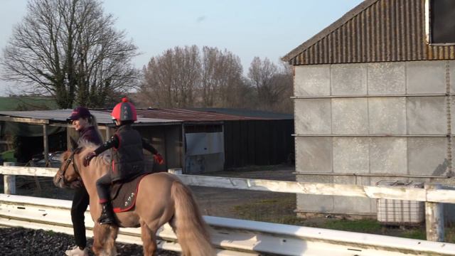 HARLEN'S FIRST EVER RIDING LESSON! LEARNING TO HORSE RIDE смотреть онлайн