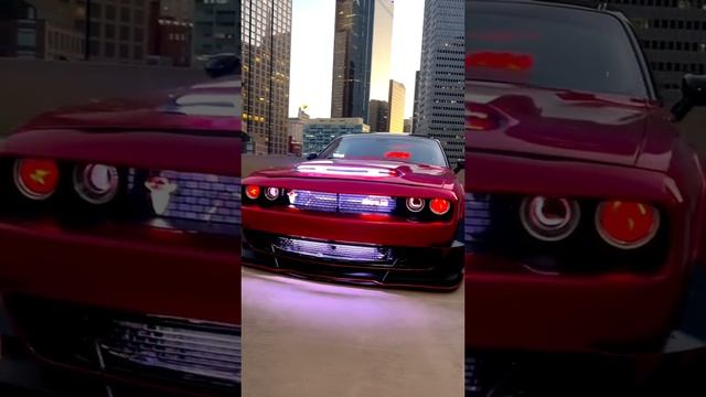 Top 10 Sport Legends ??