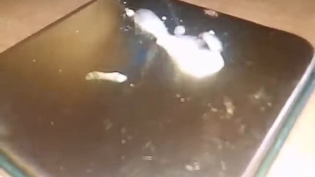 [ Эксперимент ] Втыкаем в клеща ПЕРЕКИСЬ ВОДОРОДА! С едой не смотреть! смотреть онлайн