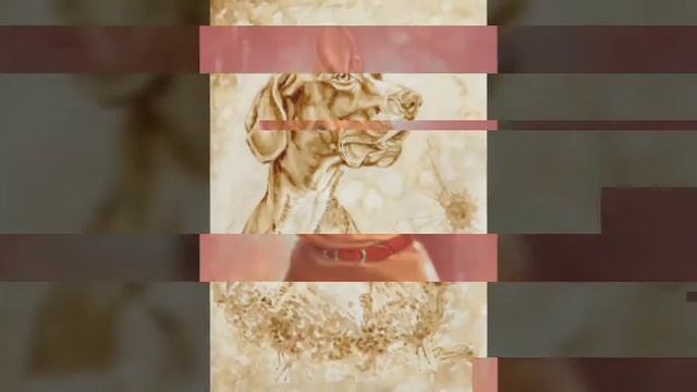 портреты собак и других животных смотреть онлайн