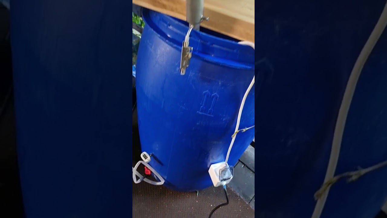 10 августа 2023 г. смотреть онлайн