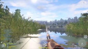 Русская Рыбалка 4 - Угорь. Как и где ловить угря на Старом Остроге?