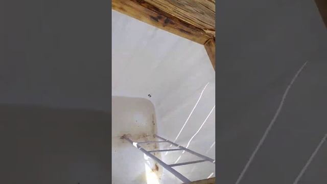 купель из еврокуба смотреть онлайн