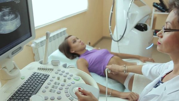 Шиховцова Светлана Владимировна