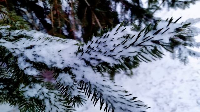 15 февраля. СРЕТЕНИЕ ГОСПОДНЕ.Народные приметы и традиции. смотреть онлайн