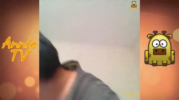 Daz Black Vine Compilation | BEST ALL VINES | LATEST HD