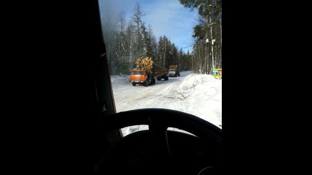 Фото, сезон 2019-2020 смотреть онлайн