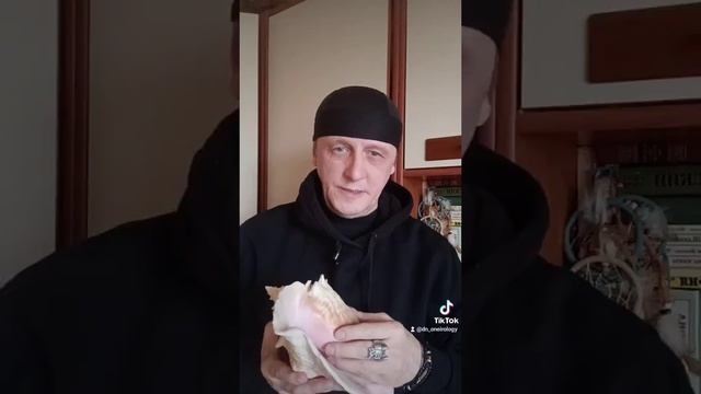 Раковина в магии.mp4 смотреть онлайн