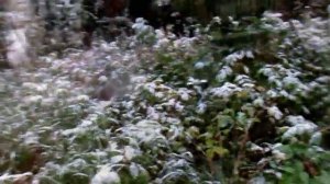 Северный Урал 2017г. База Хозья, река Унья, рыбалка, отдых.Часть 1.