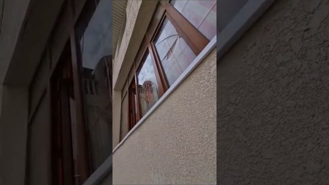 Жители Актау жалуются на постоянный плач детей в детском саду смотреть онлайн