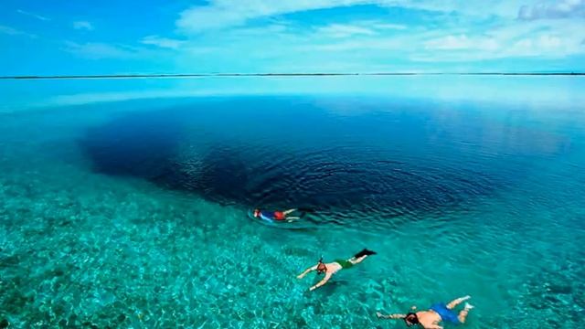 The best diving - Большая голубая дыра, Белиз смотреть онлайн