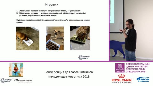 Крикунова Наташа - Животные из приюта. Терпение, понимание, любовь смотреть онлайн