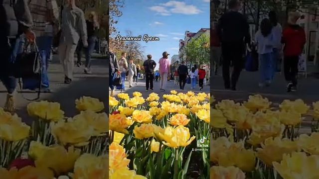 ЦВЕТЫ НА СОВЕТСКОЙ В БРЕСТЕ смотреть онлайн