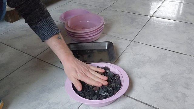 Renovamos el Plato de la Orquídea Phalaenopsis por uno Mejor y más Color. смотреть онлайн