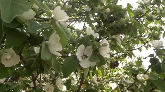 В АНАПЕ СОЛНЦЕ. ДЕЛА ДОМАШНИЕ, ЕДЕМ НА МОРЕ! смотреть онлайн