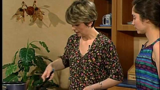 Фаршированные овощи смотреть онлайн