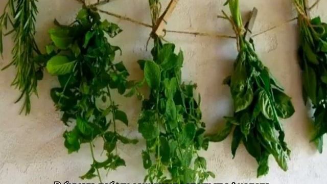 Фотография Моды и Глянцевых Журналов