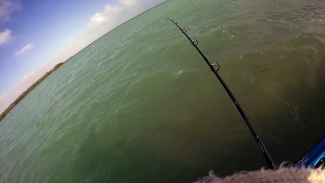 Using Shark For Bait To Catch Monster Sharks? смотреть онлайн
