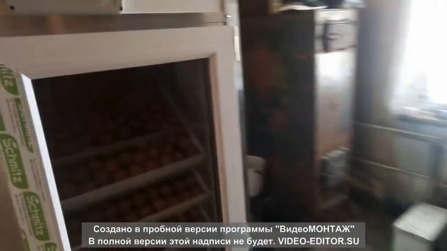 Чем мы занимаемся в деревне смотреть онлайн