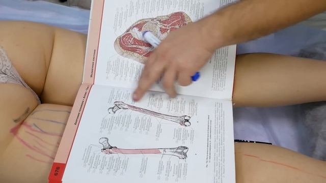 Анатомия мышц ног. Задняя поверхность бедра. Заславский Егор смотреть онлайн