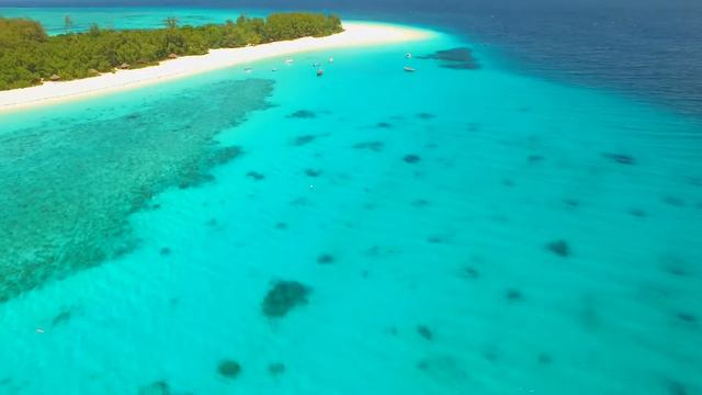 Mnemba Atoll, Zanzibar - Zanzibar Watersports смотреть онлайн