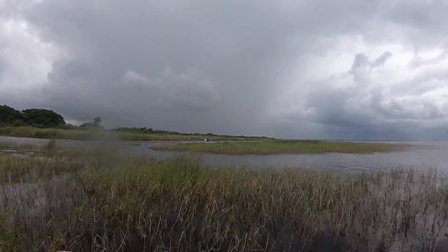 Airboating on Lake Okeechobee and checking out the Lake O Treehouse смотреть онлайн