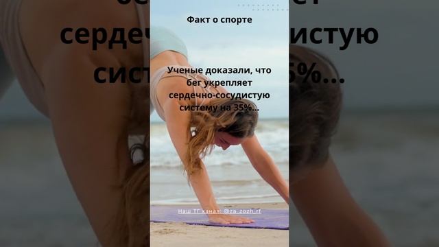 Интересный факт о спорте #спорт #зож #здоровоепитание #факты 4 смотреть онлайн