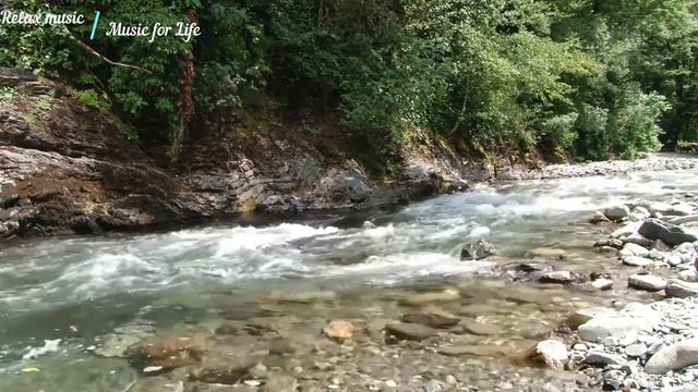 Спокойная Музыка Для Медитации И Снятия Стресса Meditation Music , Nature Sounds Music for Sleep смотреть онлайн