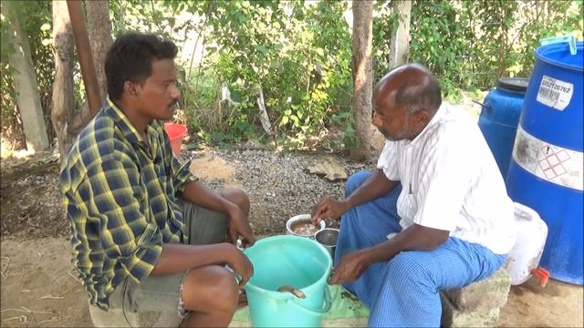 Eggs and Sapindus (Kunkudukaya) solution_ Emulsifier Alternative _ Kadapa смотреть онлайн